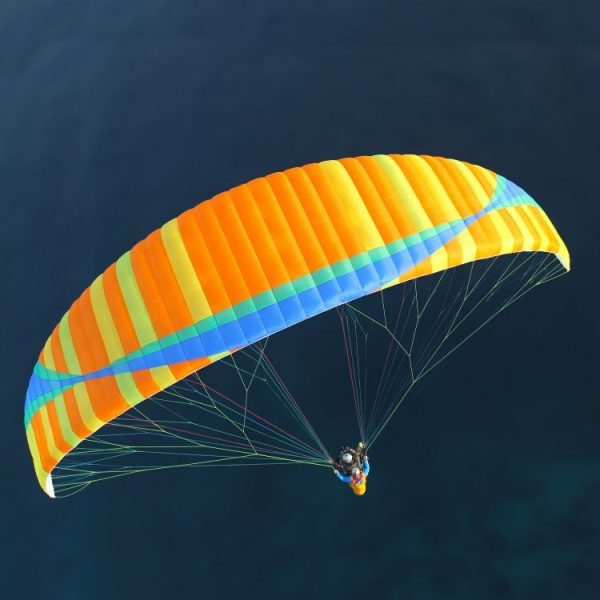 dual (2)-800×600